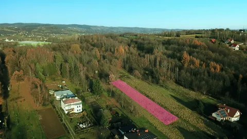 Działka: Krosno, Białobrzegi, ul. Białobrzeska. Zdjęcie z orientacyjnym oznaczeniem działki