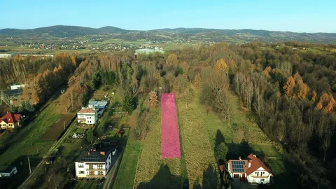 Zielony odpoczynek w Białobrzegach, Krosno, Białobrzegi, ul. Białobrzeska — Zdjęcie z orientacyjnym oznaczeniem działki