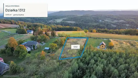 Działka z widokiem na Pogórze Dynowskie, Dydnia (Wola Dydyńska) — zdjęcie 4 z 8